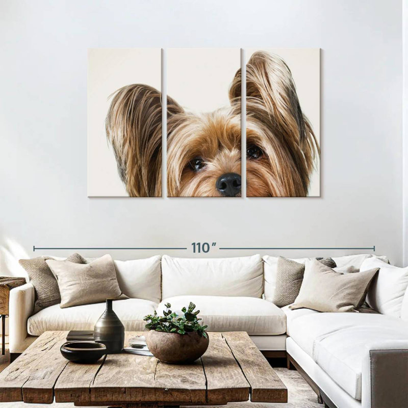 Brampt Jeri, 48" H x 74" W