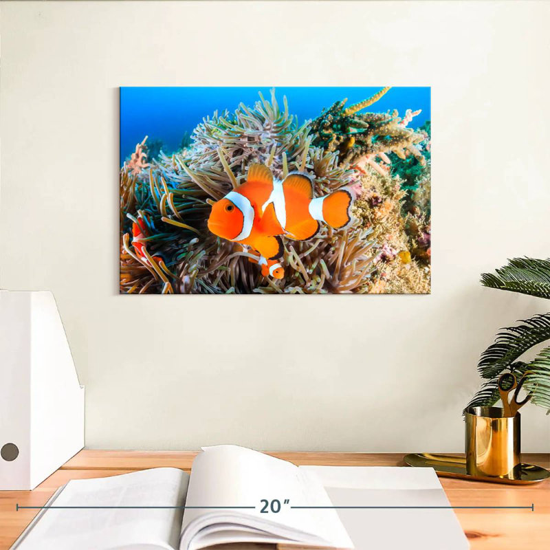 Brampt Fish Swimming, 8" H x 12" W