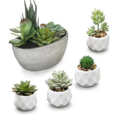 Faux Succulent Plant in Pot