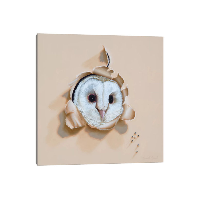 Who-o-o's There by Camille Engel - Wrapped Canvas Painting, 30.48cm H x 30.48cm W