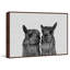 Llama Couple - Drawing on Canvas-161430054