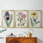 Garden Gems VII - Toile tendue avec châssis sur mesure - 3 pièces-1548110291-1548110319