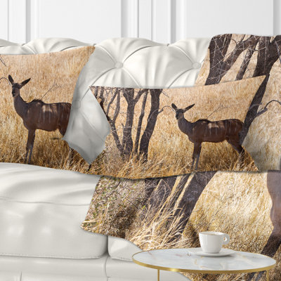Animal Print Reversible Throw Pillow
