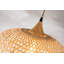 Luminaire suspendu 20 pouces 1 lumière Airy