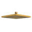 2.0 GPM 8" Rain Showerhead-81254343-128715766