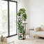 Plant Stand