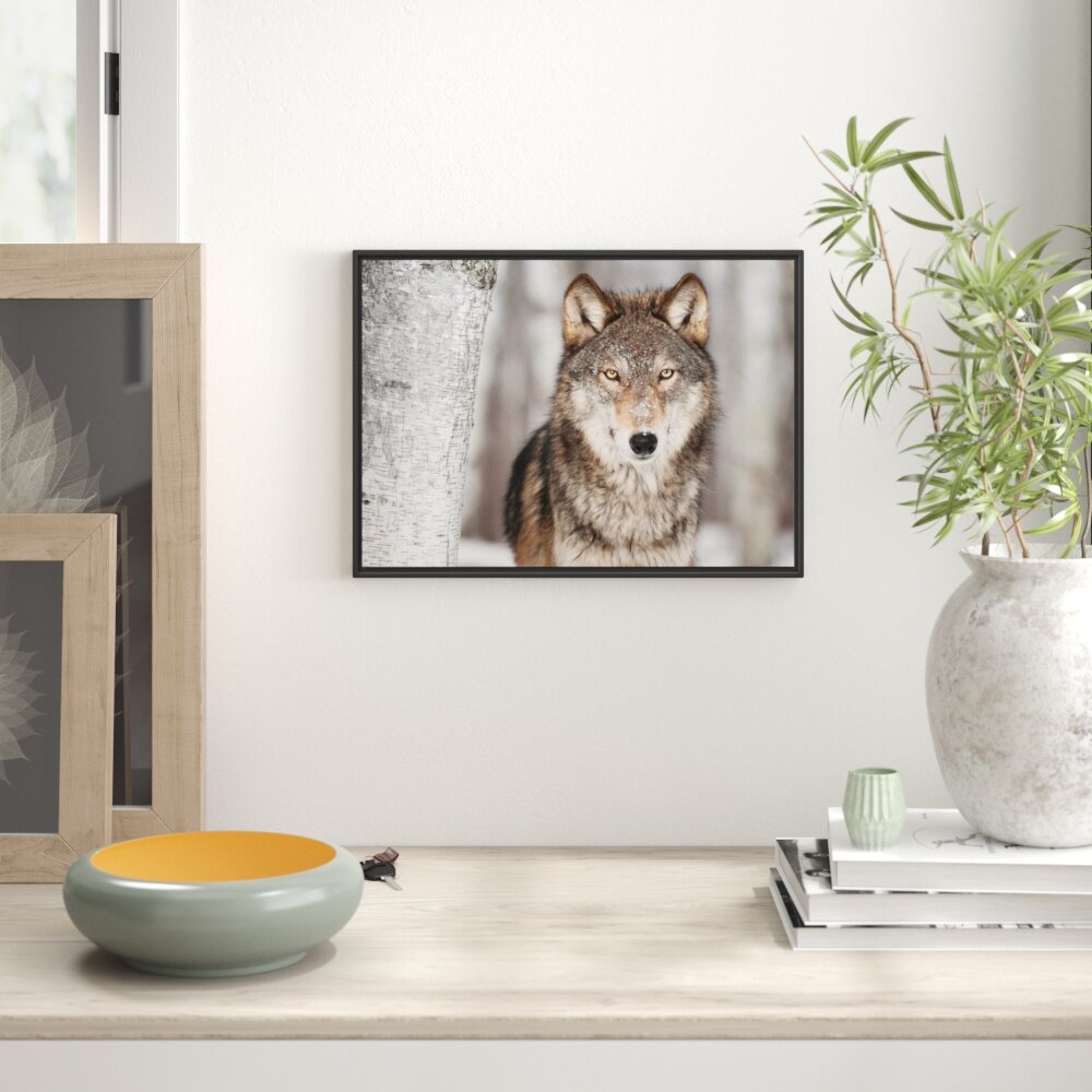 Gerahmtes Wandbild Wachsamer Wolf