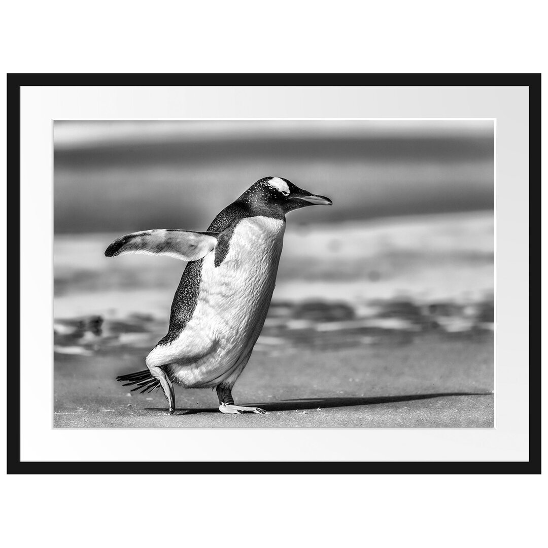 Gerahmtes Poster Pinguin am Strand