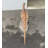 Iguanont Dinosaur Life Size Statue