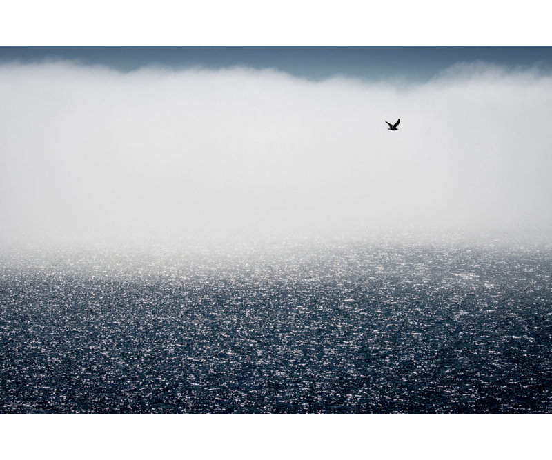 Wrapped Canvas Print, 81.28cm H x 121.92cm W