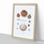 Clam Shells by A.A. Gould - Picture Frame Painting Print-55545910-55545912