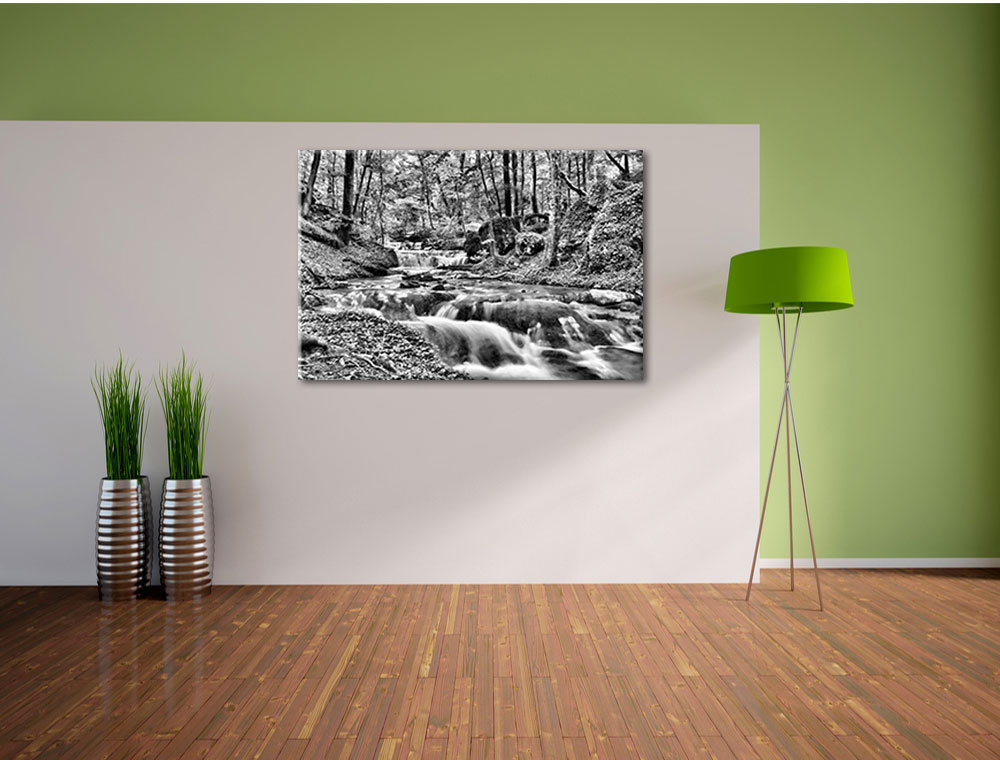 Leinwandbild Waldbach im Herbst in Monochrom