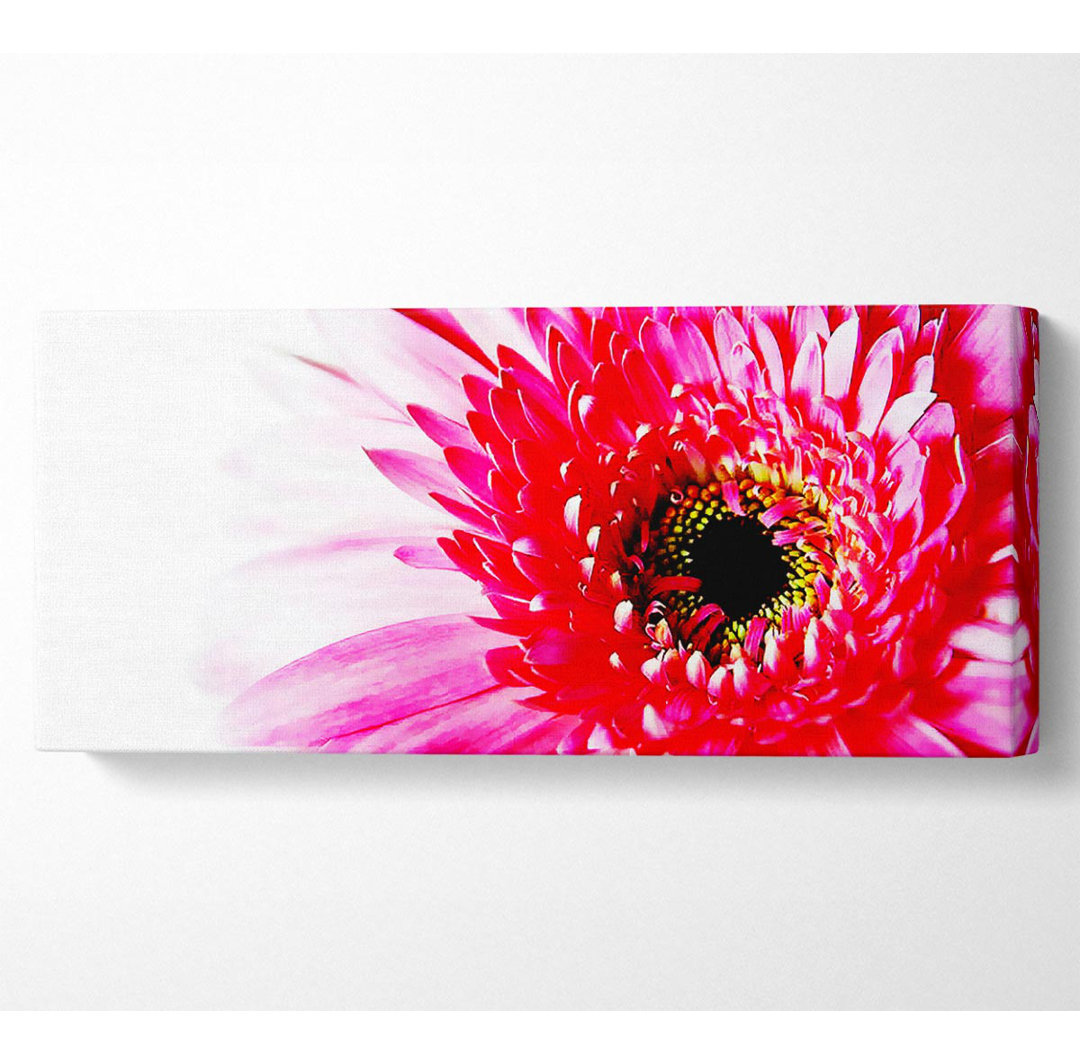 Atemberaubende rosa Gerbera-Blütenblätter - Kunstdrucke auf Segeltuch