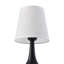 Iron USB Desk Lamp