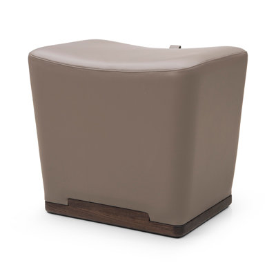 Electra Upholstered Accent Stool