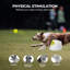Jouet pour chien Interactives