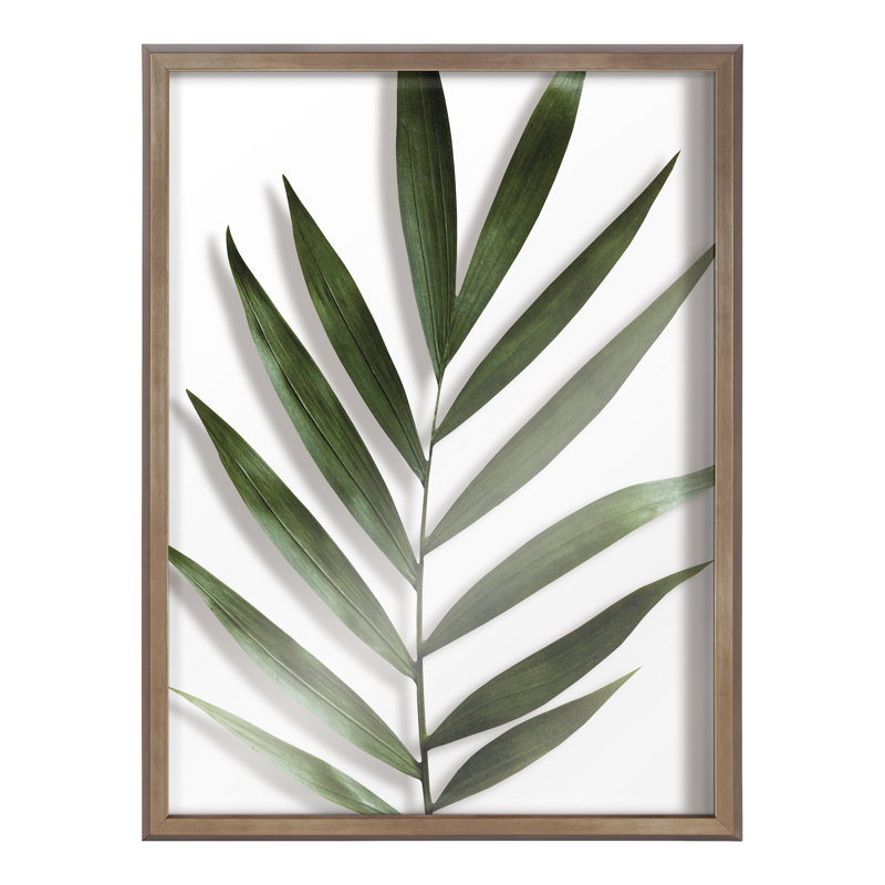 Art mural en verre Botanical 5F par Amy Peterson, Or, 18 po x 24 po