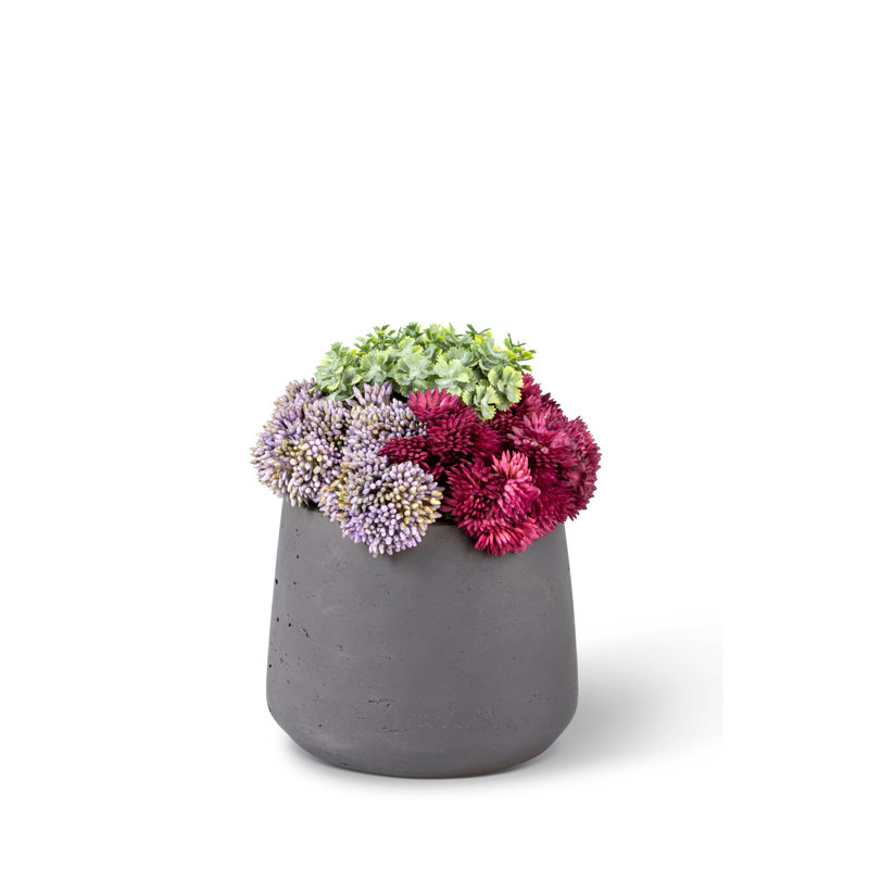 Leigh Sedum Arrangement