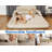 Bethania Air Mattress