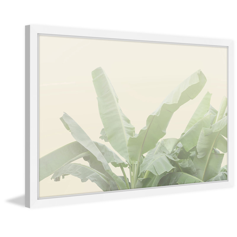 « banane leaf bouquet », reproduction de photo encadrée, 30 po x 45 po