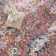 Tapis bourgogne Jaelyne Performance