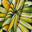 Tapisserie murale Fruit Santa Claus Melon-133645130