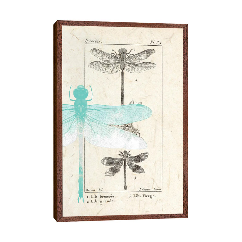Field Guide I by Kimberly Allen - Print on Canvas, 101.6cm H x 66.04cm W x 3.81cm D, Classic Brown Wood Framed