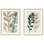 Earthtone Botanical S2 Print