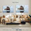 Morse sur glace-518711373