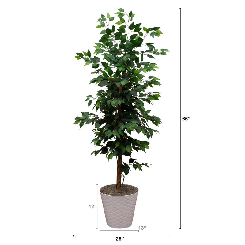 5,5 pi Ficus artificiel à double tige en pot hexagonal en métal