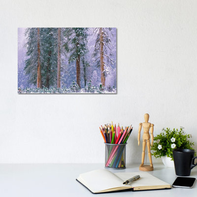 Winter In Yosemite National Park, California by Tim Fitzharris - Wrapped Canvas Painting