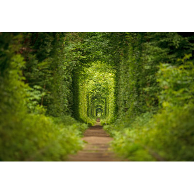 " Long Tunnel, Ukraine "