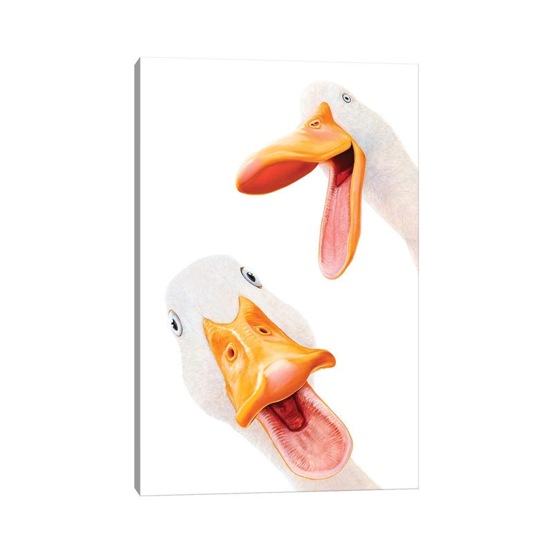 «Funny Ducks», reproduction d'art sur toile tendue, 60" x 40", No Frame, Gallery Wrapped Canvas