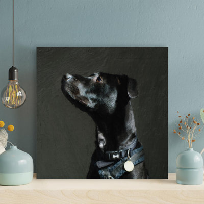 Adulte noir Labrador Retriever avec collier noir - 1 pièce, reproduction d'art graphique sur toile tendue