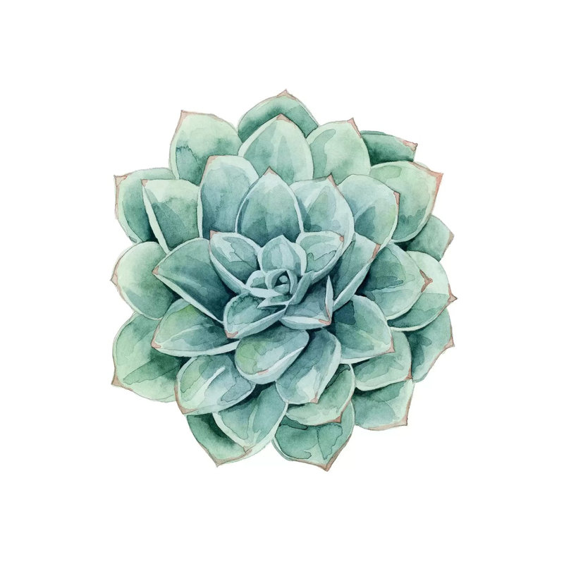 Succulent Swatches I by Grace Popp - Wrapped Canvas Painting, 66.04 cm H x 66.04 cm W x 3.175 cm D