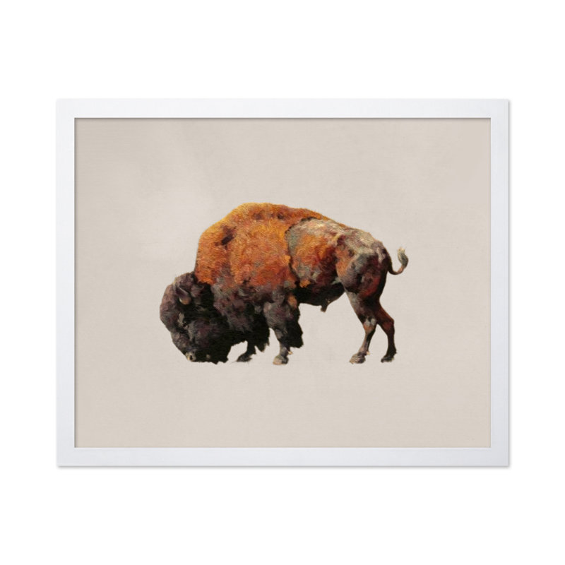 Bison bull, 24"H x 32"W, Poster, White Framed