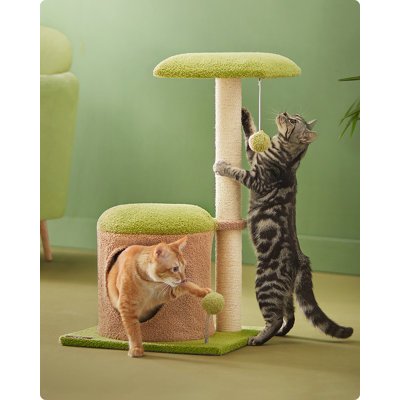 Cordez Cat Perch