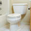 Vernell Toilet Lock