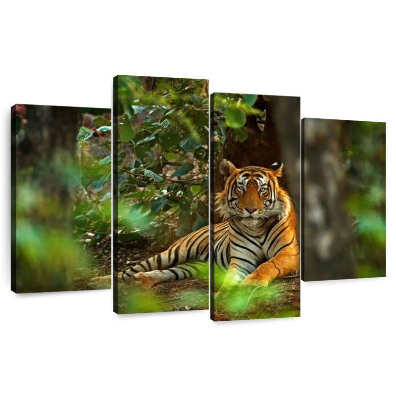 Brampt Indian Tiger, 48'' H x 75'' W