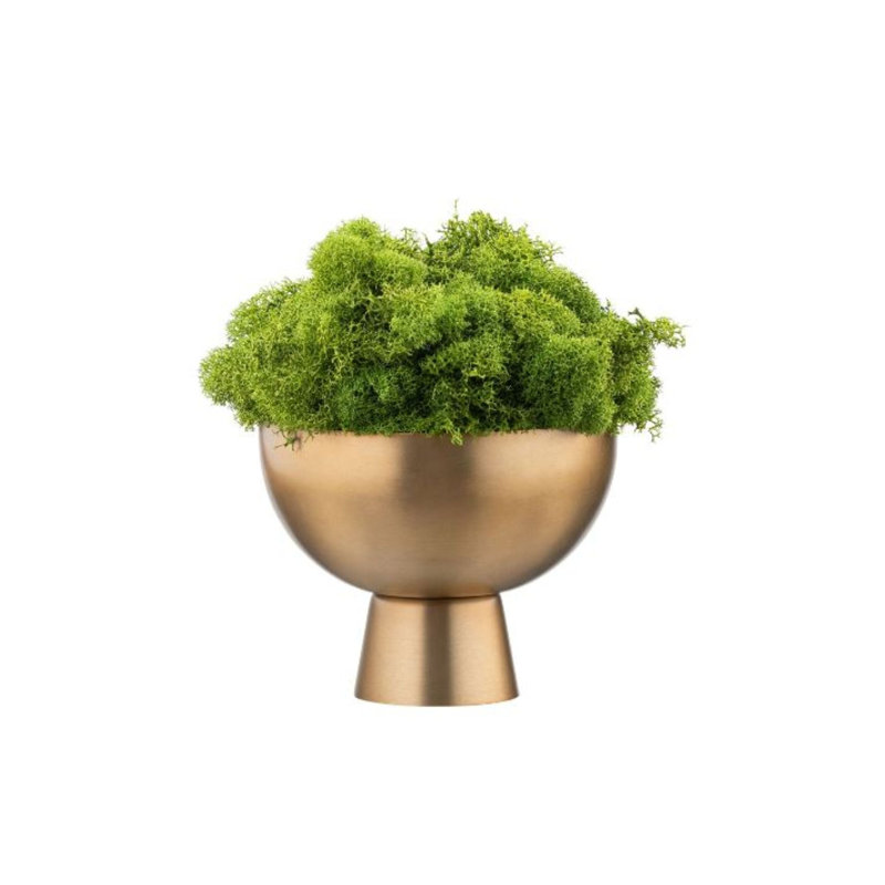 Faux Greenery Arrangement in Small Footed Gold Bowl