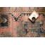 Tapis Atal Southwestern Rose-182713919