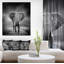 «African Elephant in Dark Artwork», reproduction d'impression sur toile tendue-29496720