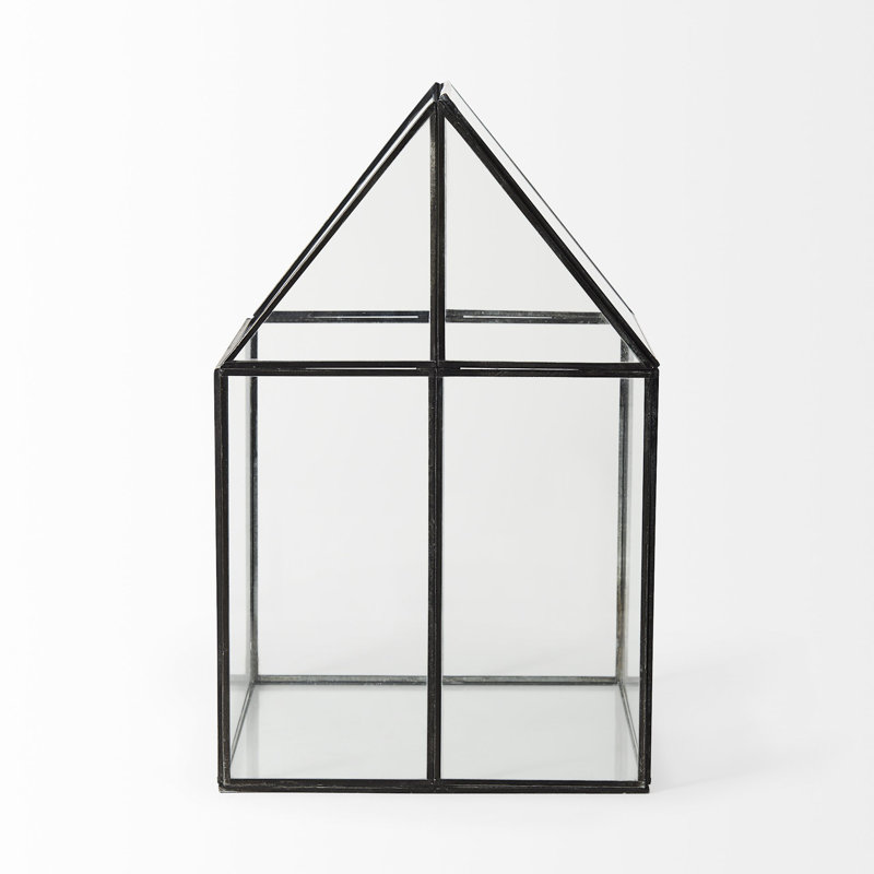 Amarina Clear And Black Glass and Metal Terrarium Box, 16" H x 10" W x 10" D