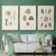 Knorr Shells and Coral VI, reproduction sur toile 3 pièces-91886982-91886978