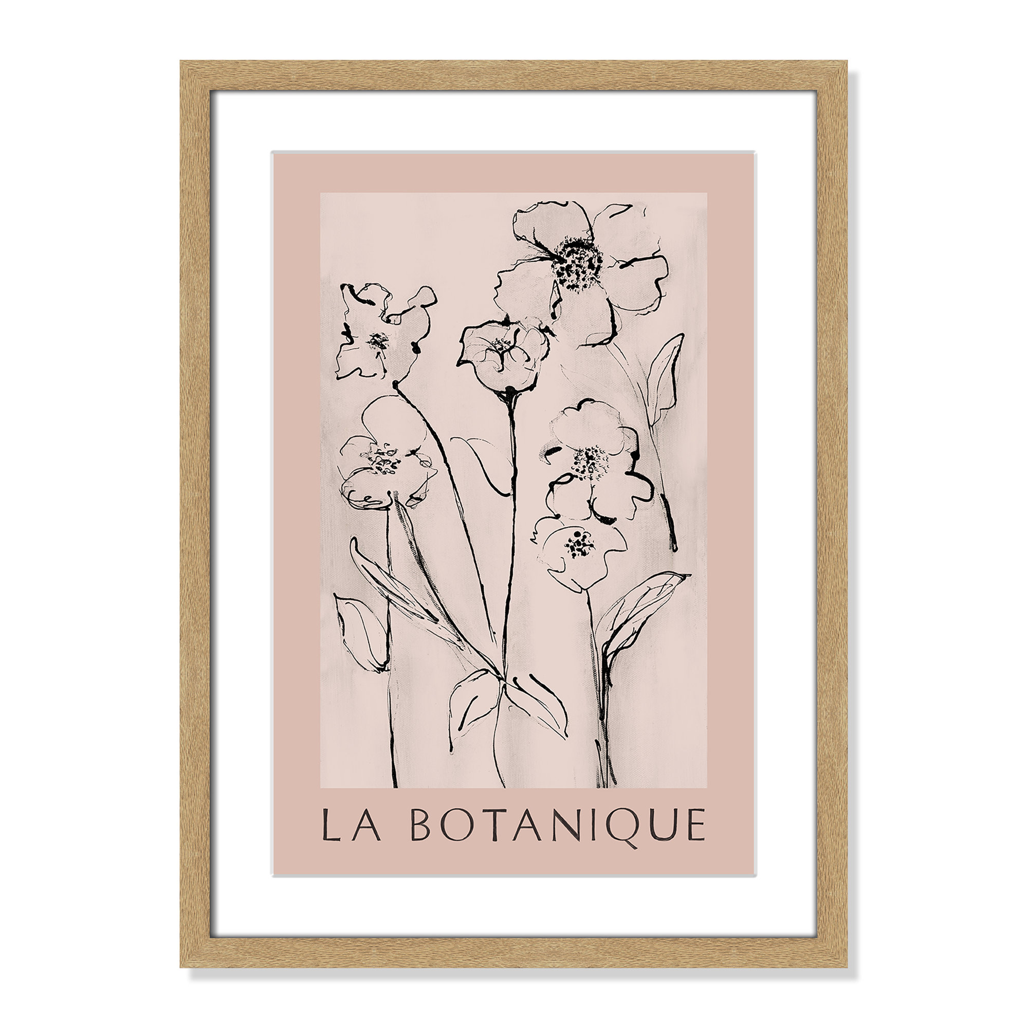 Botanical Poster Collection " La Botanique " by Susan Jill, Natural Single Picture Frame, 23" H x 17" W x 1.25" D, Yes