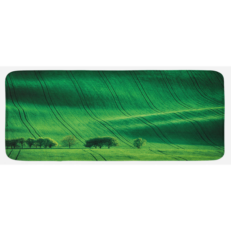 Tapis de cuisine européen