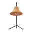 Lampe de table en métal Golightly