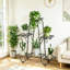 Anghelina Plant Stand