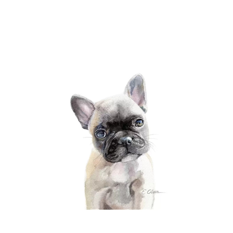 French Bulldog Puppy by Watercolor Luv - Wrapped Canvas Painting, 30.48cm H x 20.32cm W x 1.91cm D