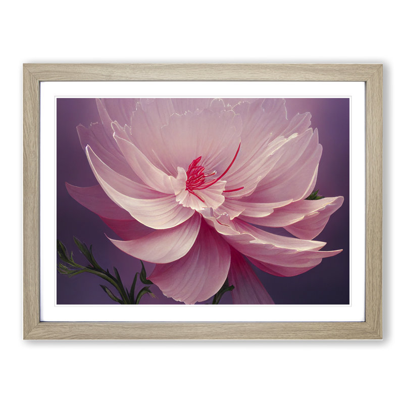 Creative Carnation Flower - Single Picture Frame Print, Oak, 34cm H x 46cm W x 2cm D